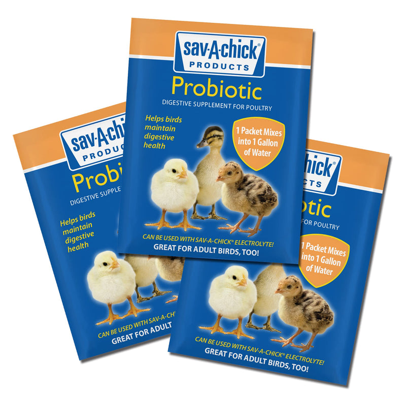Sav-A-Chick® Probiotic Supplement | 1 strip (3 - 0.17 oz packets) - PawsPlanet Australia