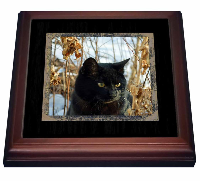 3dRose Beautiful Black Cat with Gold Eyes in the Garden in the Winter Trivet with Ceramic Tile, 8" x 8", Brown