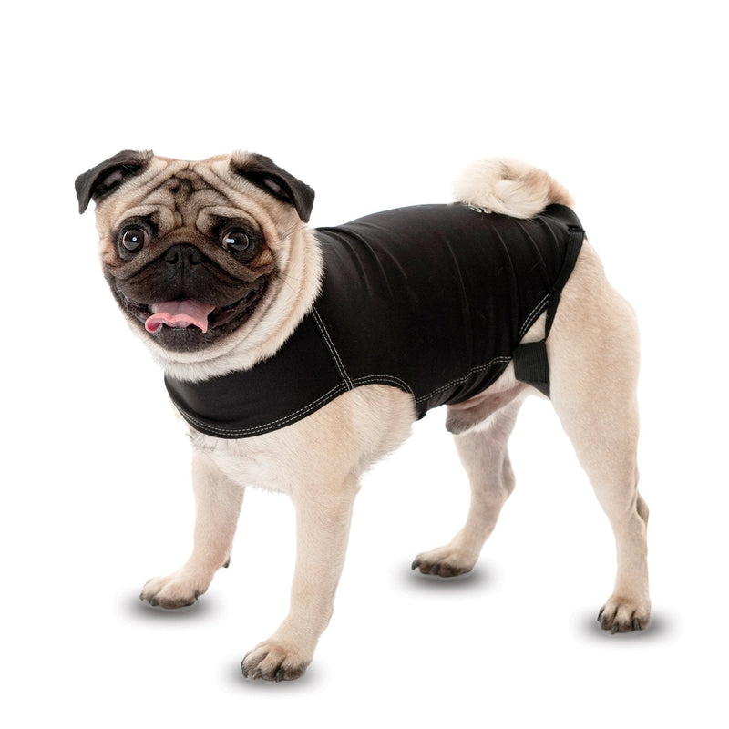 Company of Animals Anxiety Wrap, Black, Toy Sized - PawsPlanet Australia