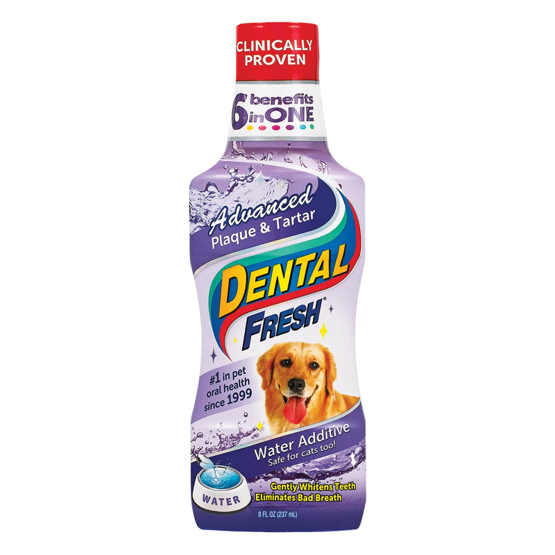 Dental Fresh Advanced Plaque and Tartar Water Additive for Dogs, 8 oz – Dog Teeth Cleaning Formula Targets Plaque & Tartar Build-Up, Eliminates Bad Breath, Whitens Teeth, Improves Overall Oral Health 8 Ounce - PawsPlanet Australia