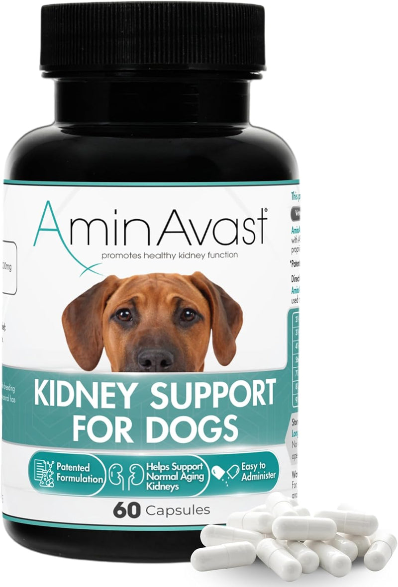 AminAvast Kidney Support Supplement for Cats and Dogs, 1000mg - Promotes Natural Kidney Function - Aids in Health and Vitality of Aging Kidneys - Easily Administered - 60 Sprinkle Capsules - NewNest Australia