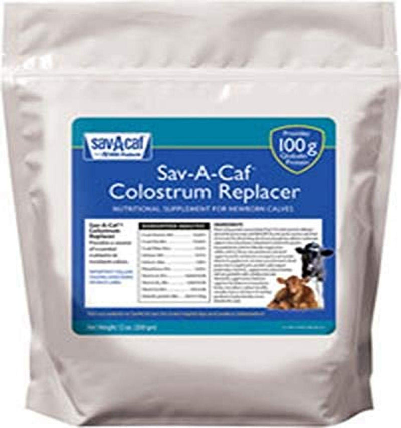 633176 Sav-a-Caf Colostrum Replacer 100, 350G - PawsPlanet Australia