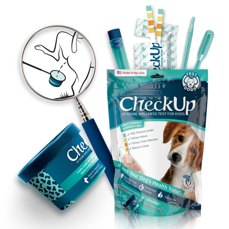 CheckUp Kit at Home Wellness Test for Dogs | Telescopic Pole, Detachable Cup & 2 Test Strips | Detects 4 Most Common Pet Health Indicators - Glucose, Protein, pH and Blood in Urine | 2 Strips 4 Parameters Strips - PawsPlanet Australia