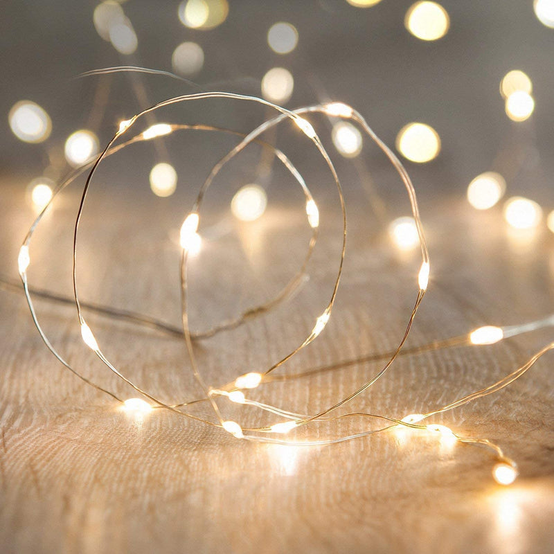 ANJAYLIA LED Fairy String Lights, 10Ft/3M 30leds Firefly String Lights Garden Home Party Wedding Festival Decorations Crafting Battery Operated Lights, Warm White Warm White 1 Pack 30 LED
