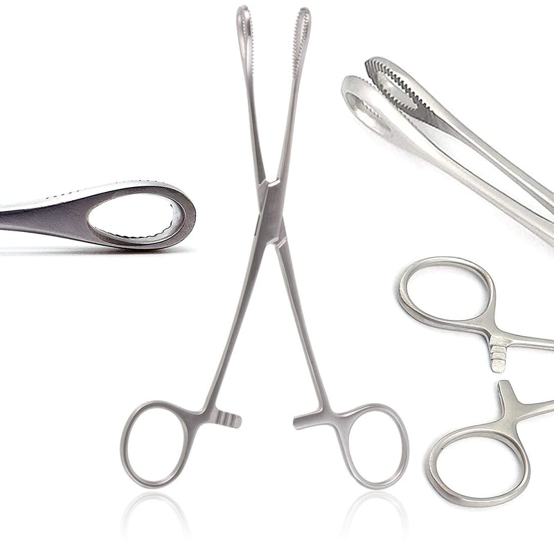 OdontoMed2011® 6" Mini Sponge Body Piercing Forceps Foerster Sponge Forceps Locking Clamp Serrated Tips Straight Stainless Steel Silver