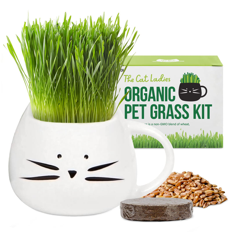 The Cat Ladies Organic Cat Grass for Indoor Cats - Growing Kit with Organic Seed Mix, Soil and White Cat Planter. Natural Hairball Control and Digestion Remedy, Cat Gifts - PawsPlanet Australia