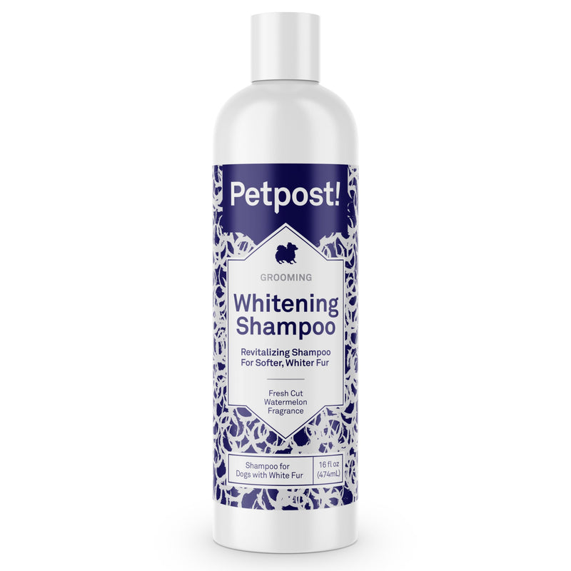 Petpost | Dog Whitening Shampoo - Best Lightening Treatment for Dogs with White Fur - Soothing Watermelon Scent - Maltese, Shih Tzu, Bichon Frise Approved 16 oz. 16 Ounce - PawsPlanet Australia