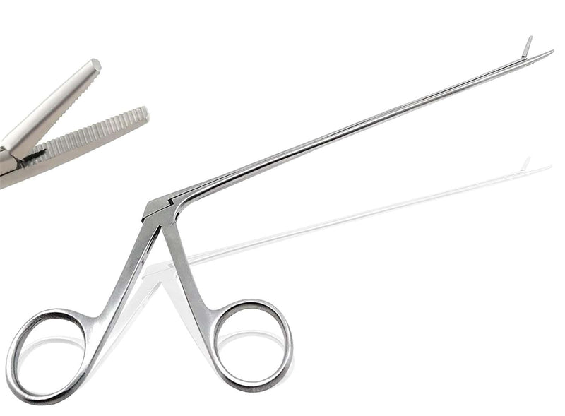 5.5 5-1/2" Alligator Forceps, Stainless Steel A+ Quality