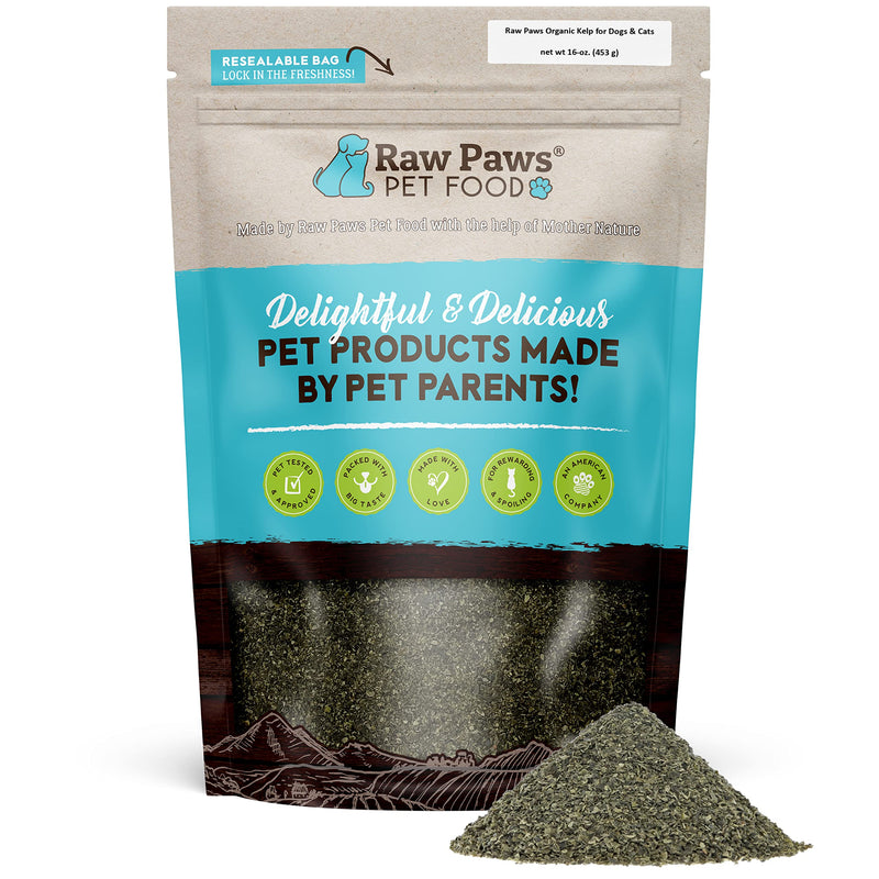 Raw Paws Organic Kelp for Dogs & Cats, 16-oz - Iodine Rich for Thyroid, Digestive & Immune Health - Seaweed Powder for Dogs, Sea Kelp for Cats, Kelp Supplement for Dogs, Dried Kelp Powder for Dogs 16 oz - PawsPlanet Australia