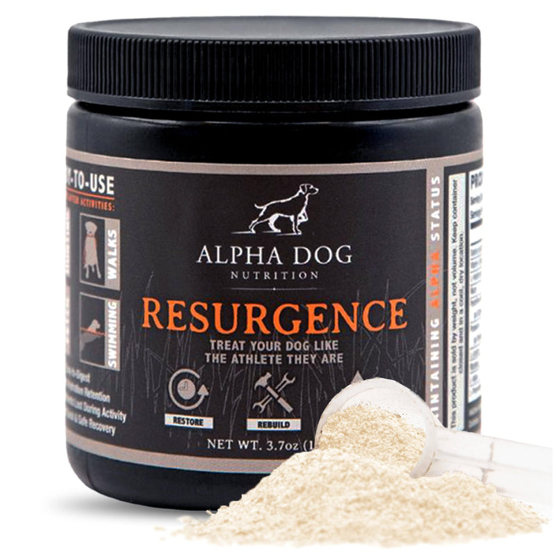 Resurgence Dog Electrolytes by Alpha Dog Nutrition | Promote Dog Hydration, Increase Stamina, and Boost Recovery | Electrolyte Water Additive or Food Topper to Prevent Dehydration with Beef Flavoring - PawsPlanet Australia