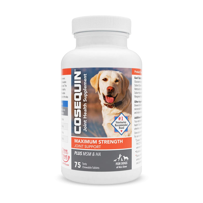 Nutramax Cosequin Maximum Strength Joint Health Supplement for Dogs - With Glucosamine, Chondroitin, MSM, and Hyaluronic Acid, 75 Chewable Tablets - PawsPlanet Australia
