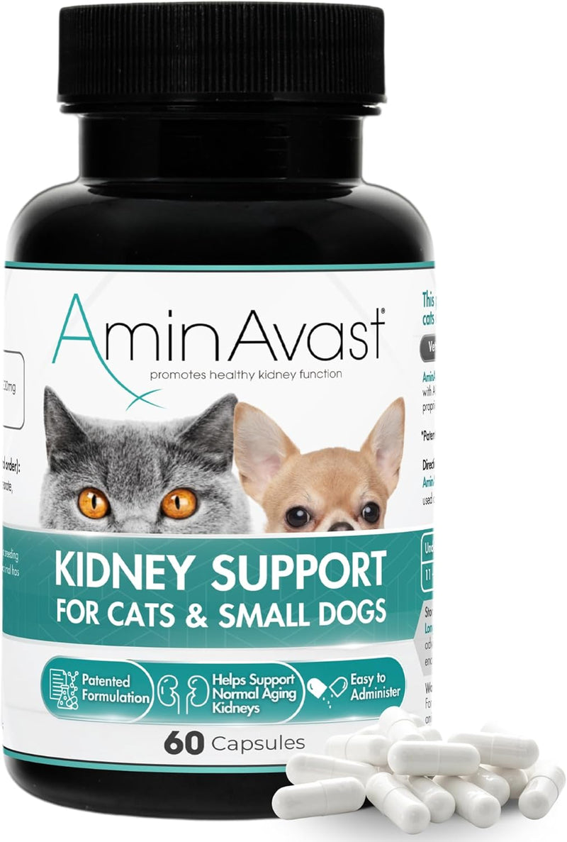 AminAvast Kidney Support Supplement for Cats and Dogs, 300mg - Promotes Natural Kidney Function - Aids in Health and Vitality of Aging Kidneys - Easily Administered - 60 Sprinkle Capsules - NewNest Australia