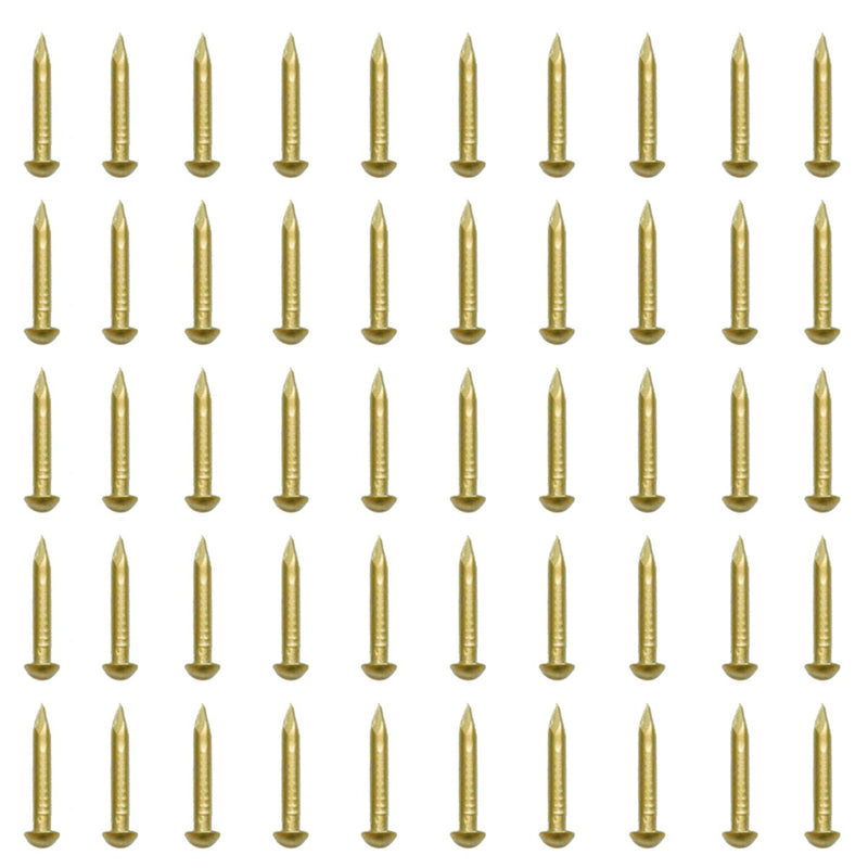 RZDEAL 100 PCS 0.08'' x 0.6'' Round Head Brass Nails for Hinges Boxes Craft Projects(DIY) 0.08'' x 0.6''