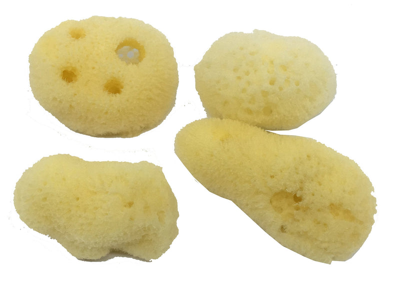 Awesome Aquatic 4-Pack of Hermit Crab Sea Sponges (All Natural Hermit Crab Sponge) Regular 4 pk - PawsPlanet Australia