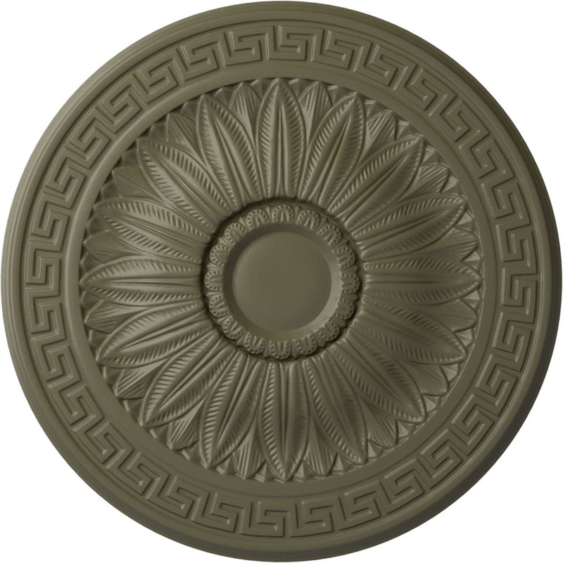 Ekena Millwork CM20HASSF Randee Ceiling Medallion fits Canopies up to 3 7/8, Spartan Stone Spartan Stone (Flat Finish)