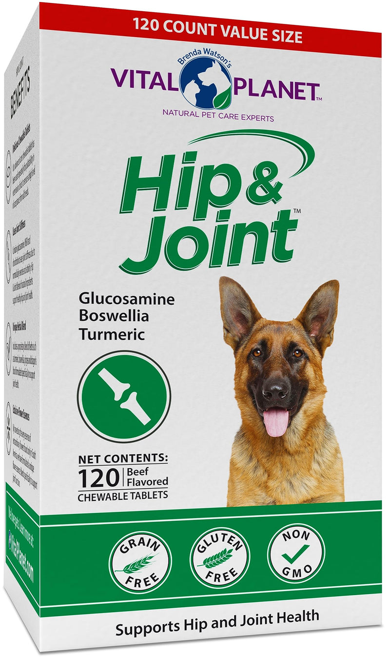 Vital Planet - Natural Hip and Joint Supplement for Dogs - Potent Herbal Blend with Green Lipped Mussel, MSM and Glucosamine (120 Chewable Tabs) - PawsPlanet Australia