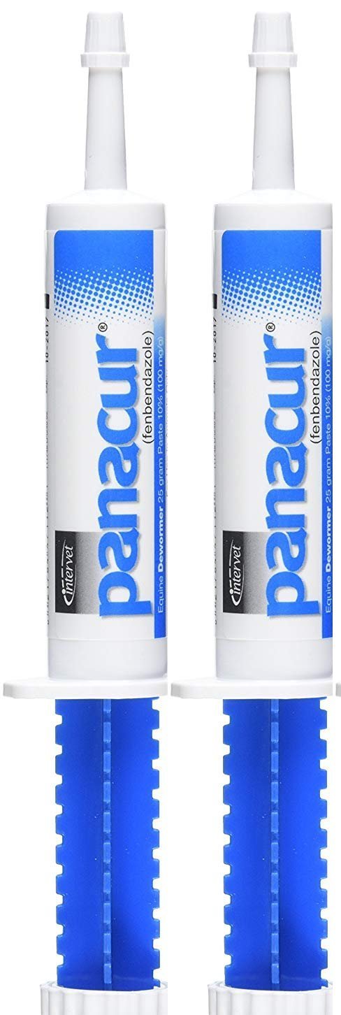 SCHERING/INTERVET D PANACUR Dewormer HORSE PASTE 10%, 100mg (2-Pack) - PawsPlanet Australia