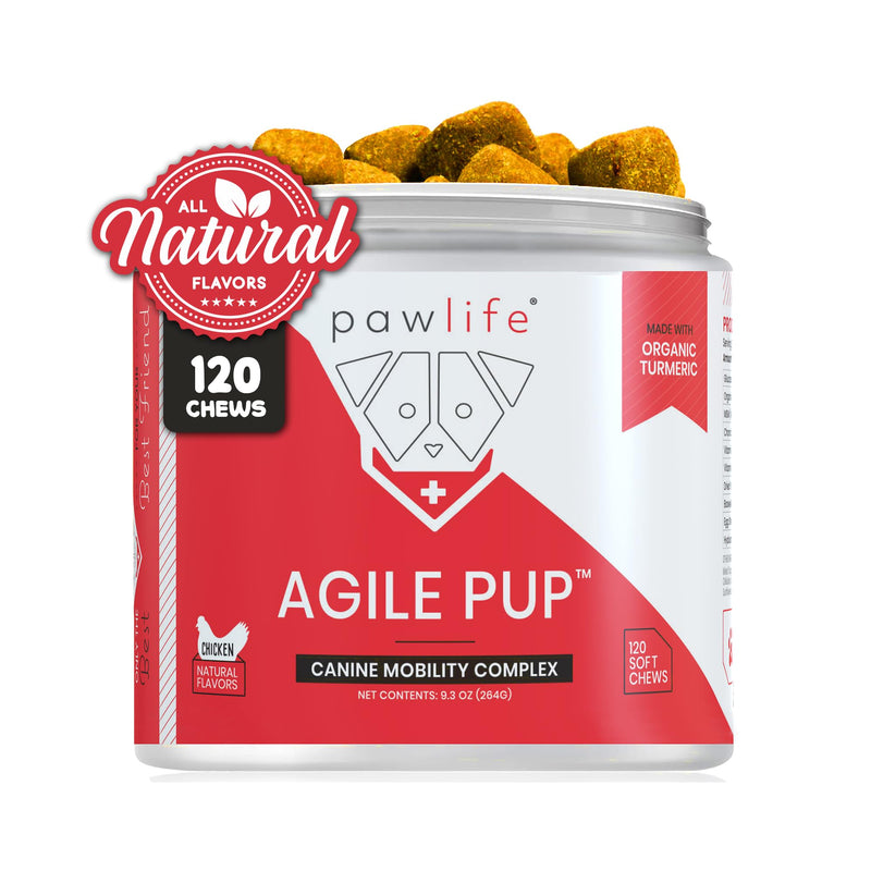 Arthritis Dog Joint Chews| Glucosamine, Chondroitin, Omega-3| MSM Support for Healthy Joints| 120ct Veterinarian Formulated Soft Chews| Up to 4-Month Supply - PawsPlanet Australia