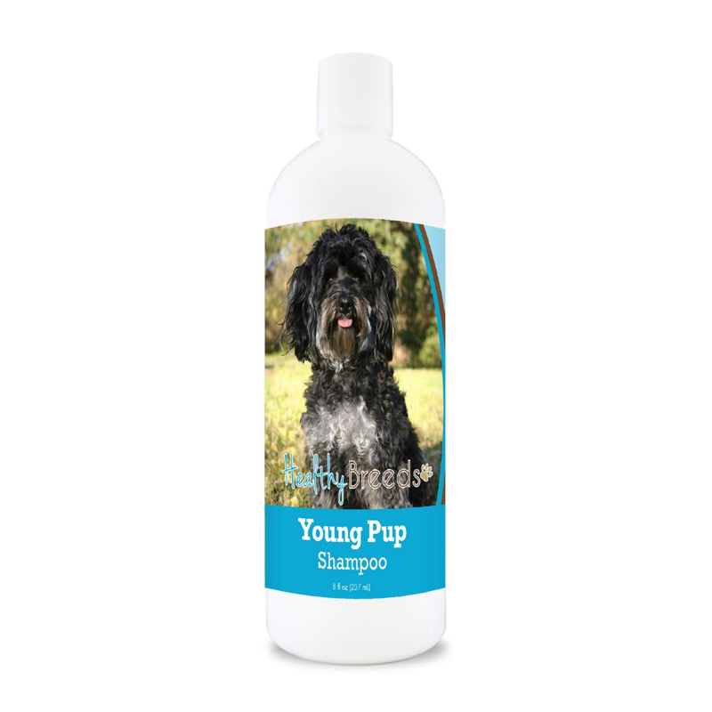 Healthy Breeds Maltipoo Young Pup Shampoo 8 oz - PawsPlanet Australia