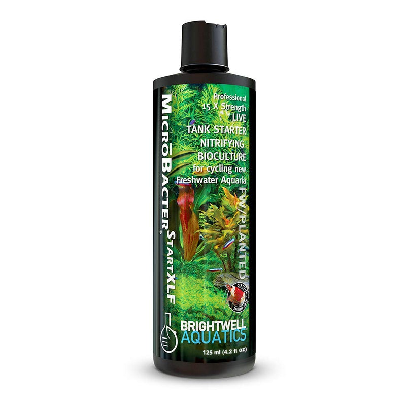 Brightwell Aquatics MicroBacter Start XLF - Concentrated Freshwater Nitrifying Bacteria - Quick Start Fish Tank Starter, Lift Microbe Levels & Water Filtering - Aquarium Water Treatments, 4.22 fl oz 125-ml