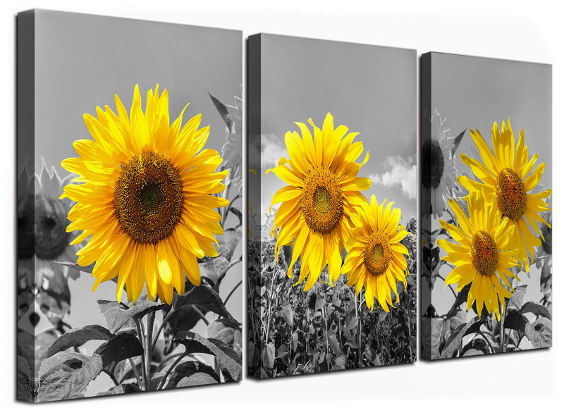 USIXA Sunflower Wall Art for Living Room Black White Flowers Wall Decor Yellow Floral Canvas Prints Painting Wood Frame with Hook Decorative Botanical Blossom Picture Artwork in 3 Panels 12×16 Inches