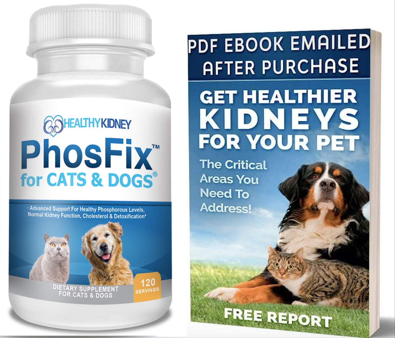 PhosFix for Cats & Dogs: Phosphorus Binder for Cats & Dogs to Support Normal Phosphorus Levels and Kidney Function, Chitosan for Restoring Kidney Health Naturally. A Special Renal Supplement - PawsPlanet Australia