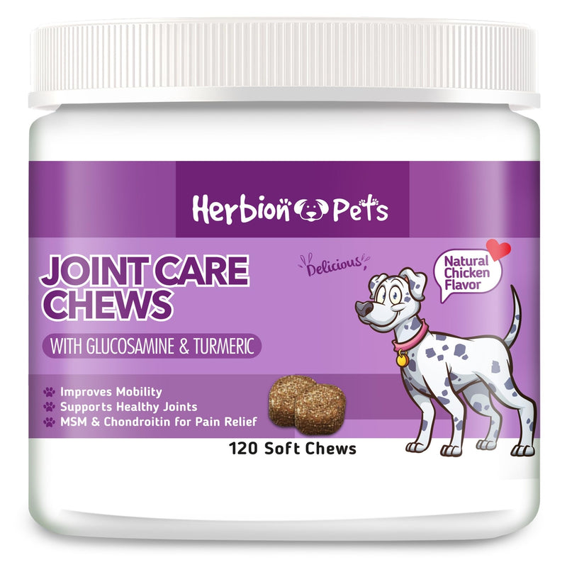 Herbion Pets Joint Care Chews with Glucosamine & Turmeric, 120 Soft Chews, MSM & Chondroitin for Pain Relief, Improves Mobility, Supports Healthy Joints, Made in The USA - for Dogs 12 Weeks+ - PawsPlanet Australia