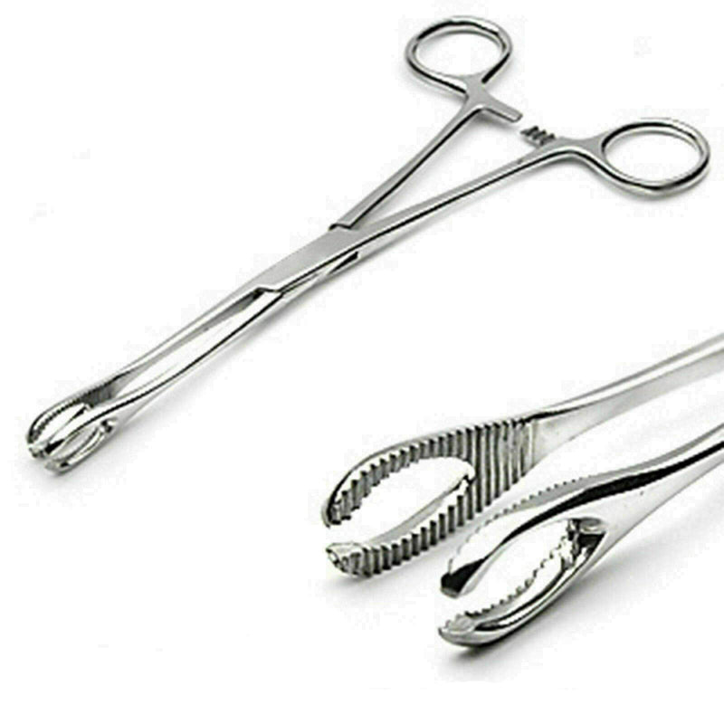 Sponge Holding Forceps 6" Slotted Body Piercing Instruments