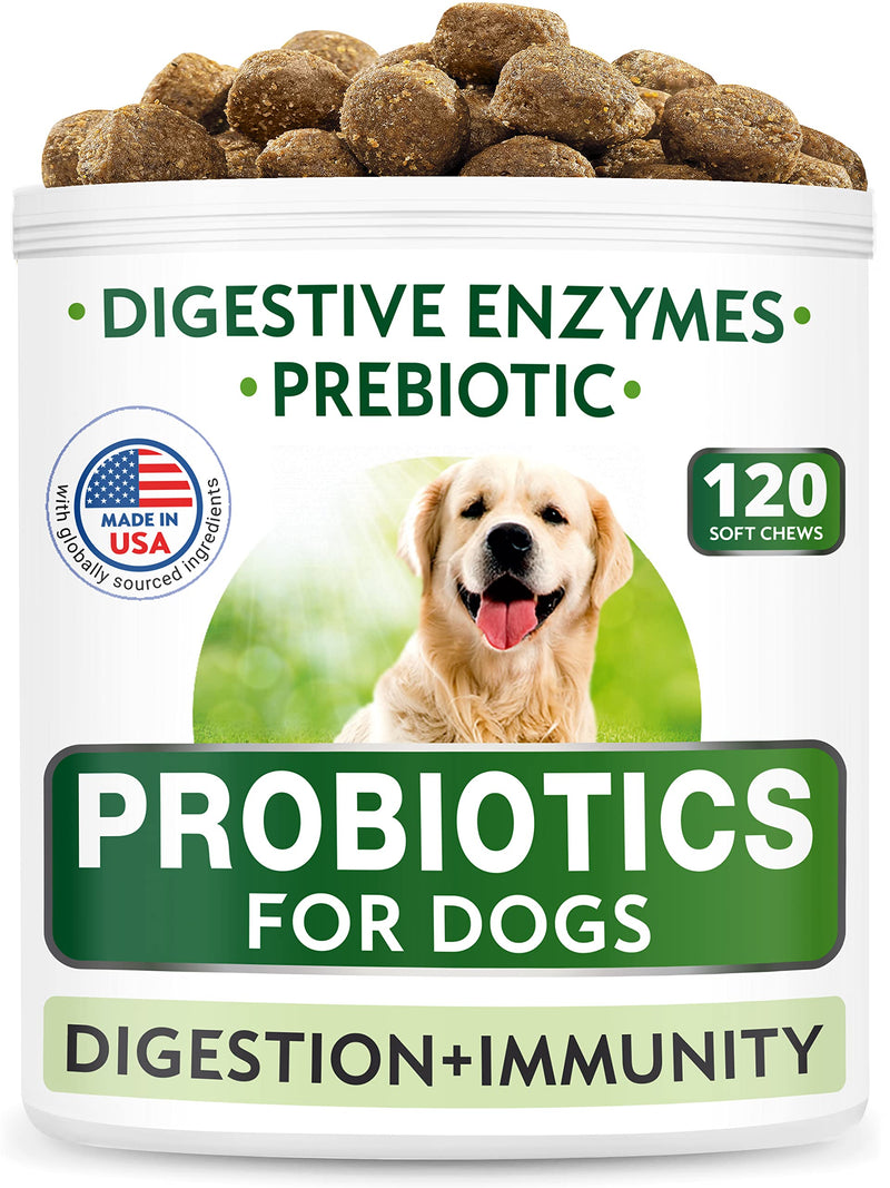 Dog Probiotics Chews - Gas, Diarrhea, Allergy, Constipation, Upset Stomach Relief, with Digestive Enzymes + Prebiotics - Chewable Fiber Supplement - Improve Digestion, Immunity - Made in USA 120 chews - PawsPlanet Australia