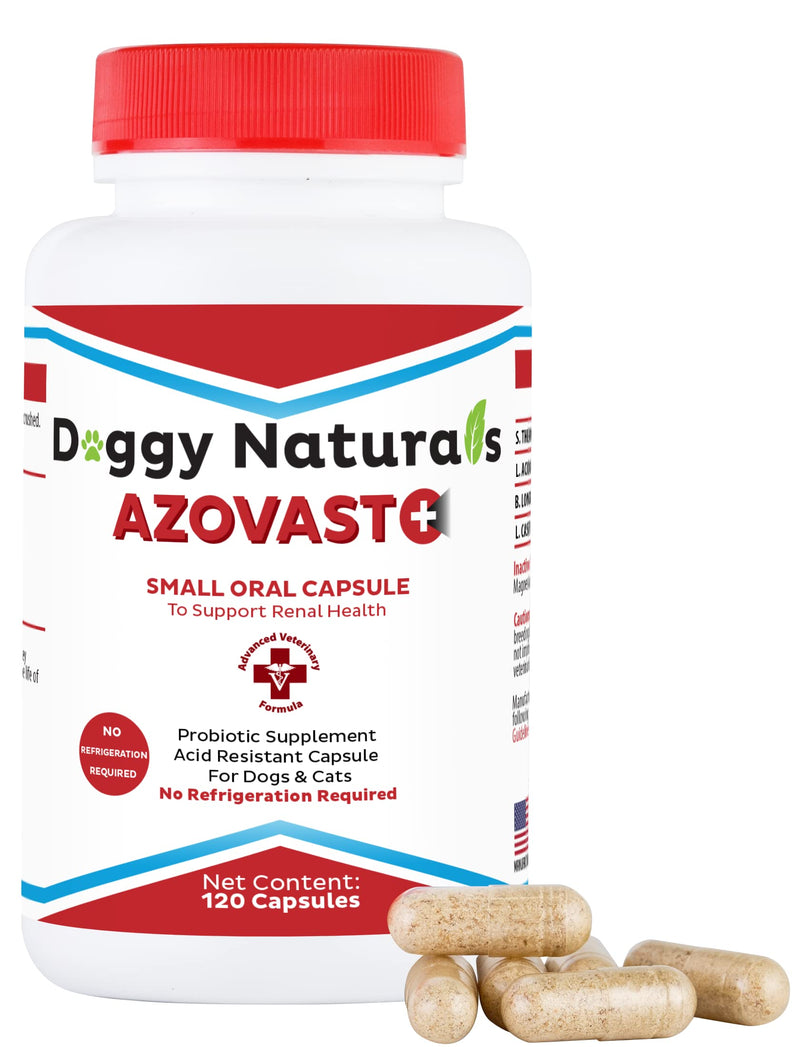 Azovast Plus Kidney Health Supplement for Dogs & Cats, 120ct - NO Refrigeration Required - Help Support Kidney Function & Manage Renal Toxins - Renal Care Supplement Capsule(U.S.A) 120 Caps (Pack of 1) - PawsPlanet Australia