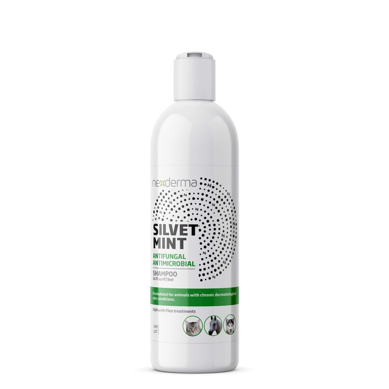 Natural Colloidal Medicated Pet Shampoo for Dogs and Cats - Tearless Hypoallergenic, Soap Free with Coconut Oil and Mint, Relief for Allergies, Odor, Itchy, Dry, Irritated Skin - 16oz, 1Pack - PawsPlanet Australia