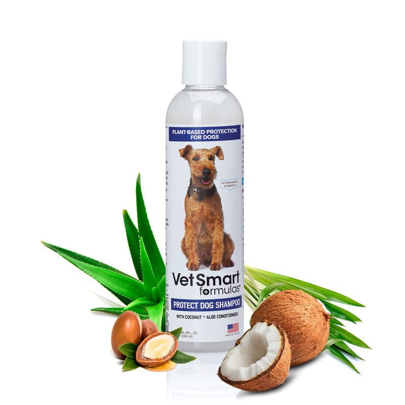 Protect Shampoo for Dogs; No More Scratching, Itching, or Hot Spots with Plant-Based All-Natural Formula with Healthy Essential Oils - Made in USA One Bottle - PawsPlanet Australia