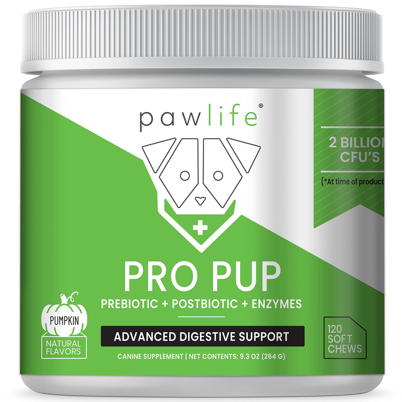 Probiotic Chews for Dogs - Pro Pup Dog Probiotics, Veterinarian Formulated Dog Probiotics and Digestive Enzymes, Dog Gut Health Probiotics, Natural Dog Gas Relief (Pumpkin Flavor) Pumpkin 120 - PawsPlanet Australia