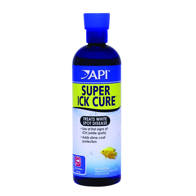 API Liquid Super ICK Cure Freshwater and Saltwater Fish Medication 16-Ounce Bottle 16 fluid ounces