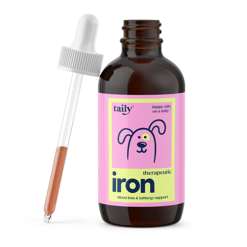 Taily AminoPets Liquid Iron Supplements for Dogs, Cats | Supports Anemia, Low Enery Levels and Lethargy | For Dogs, Puppies, Cats, and Kittens - Made in USA - PawsPlanet Australia