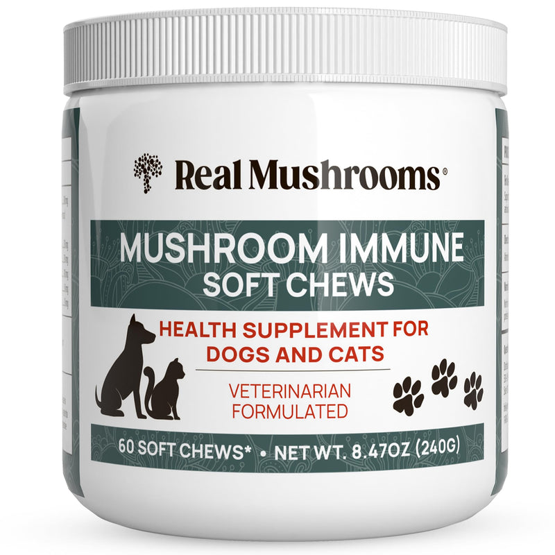 Mushroom Immune Support Pet Chews 60ct Treats for Dogs Booster Supplements Pets with Ashwagandha, Astragalus, Blueberry, Olive Leaf, Acerola Gut Health and Cats - PawsPlanet Australia
