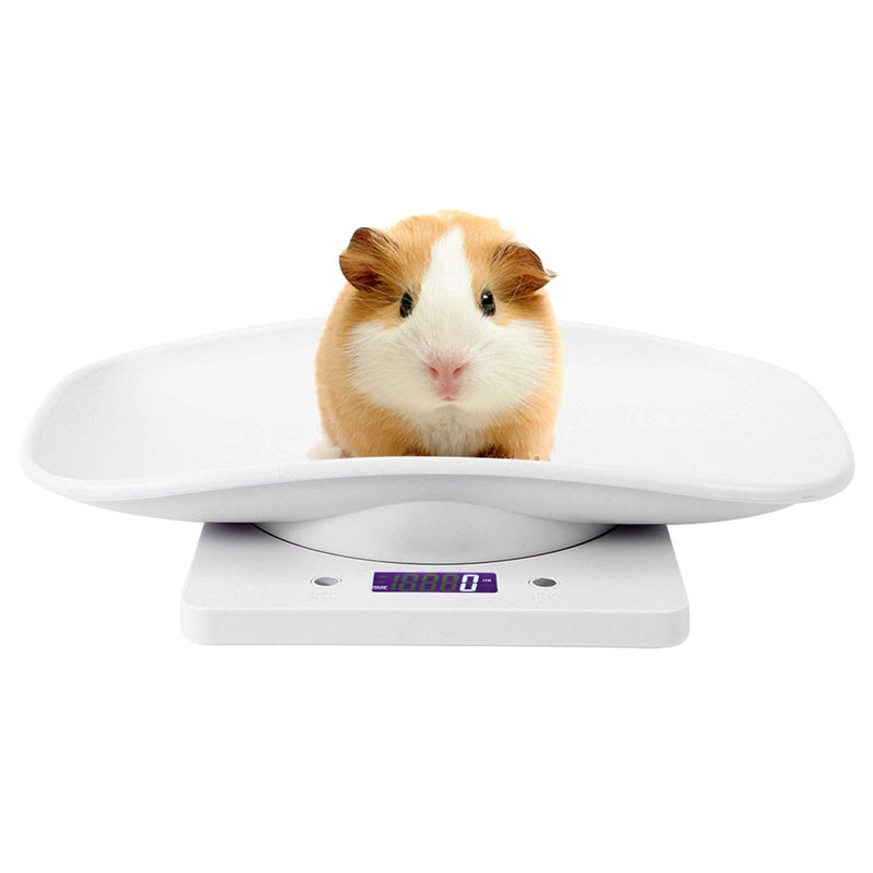 Digital Pet Scale, LCD Animal Scale, 0-22Pound High Accuracy Electronic Weighing Scale, Multifunctional Electronic Weighing Scale for Small Animals Hamster Birds Kittens (No Battery Included) - PawsPlanet Australia