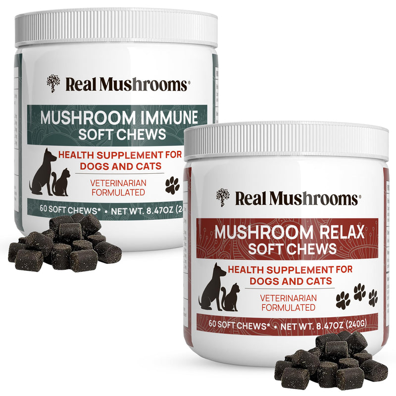 Real Mushrooms Immune Pet Chews (60ct) & Relax Pet Chews (60ct) - Bundle for Immunity, Relaxation & Longevity - Reishi, Lion’s Mane, Ashwagandha, Astragalus & More - Vegan, Non-GMO, Gluten-Free - PawsPlanet Australia