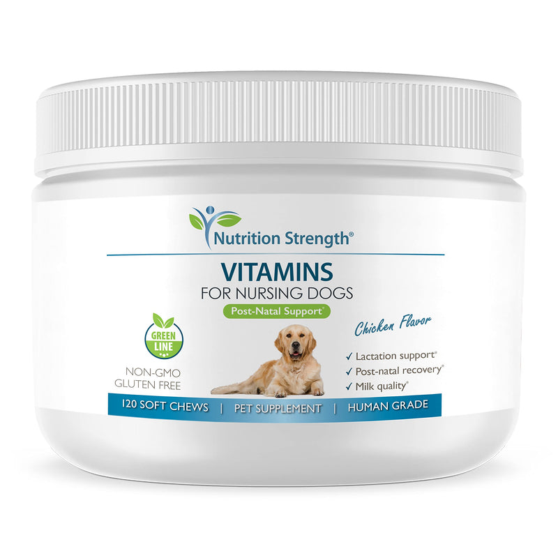 Vitamins for Nursing Dogs to Support Lactation and Post-Natal Recovery, Promote Milk Quality and Healthy Puppies with Calcium, Phosphorus, Magnesium and Zinc, 120 Soft Chews - PawsPlanet Australia