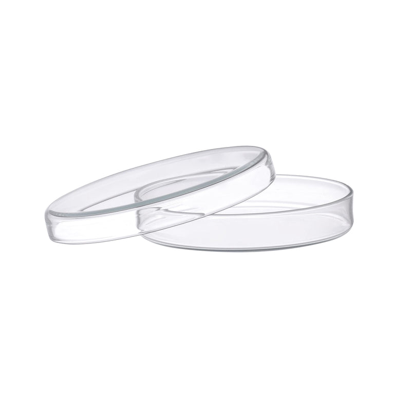 EISCO Petri Dish, 8" (200mm) - Beaded Edges - Easy to Sterilize for Repeated Use - Soda Glass
