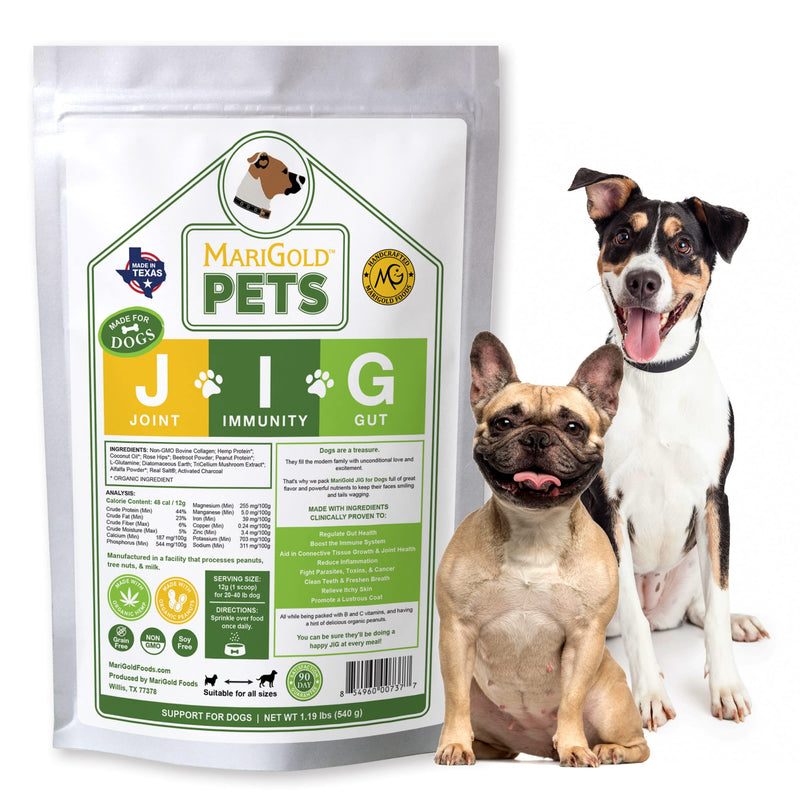 MariGold JIG for Dogs - Joint, Immunity, Gut Support & Collagen for Dogs - Non-GMO, Organic Peanuts, Organic Hemp, Grain and Soy Free - 1.19 LBS (Medium) Medium - PawsPlanet Australia