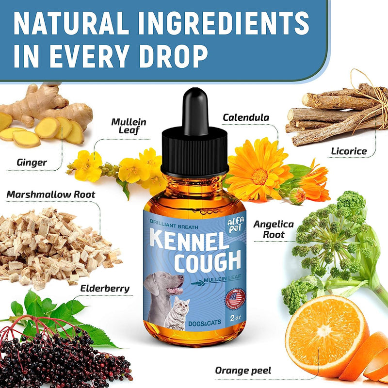 Kennel Cough Treatment for Dogs | Dog Cough Suppressant | Dog Cough | Dog Allergy Relief | Dog Itch Relief | Dog Allergy Support - PawsPlanet Australia