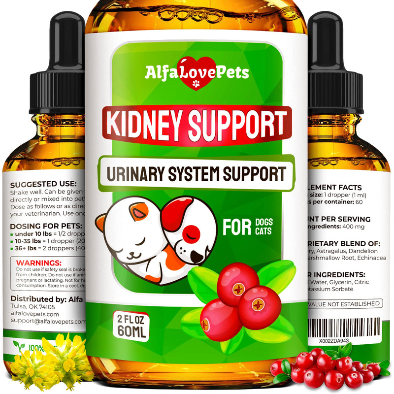 Natural Kidney Support for Dog UTI & Cat UTI - Canine Urinary Tract Care w/ Cranberry - Cat Bladder & Dog Kidney Essentials - Organic Supplement - Made in USA Drops for Dog Kidney Support (2 Oz) - PawsPlanet Australia