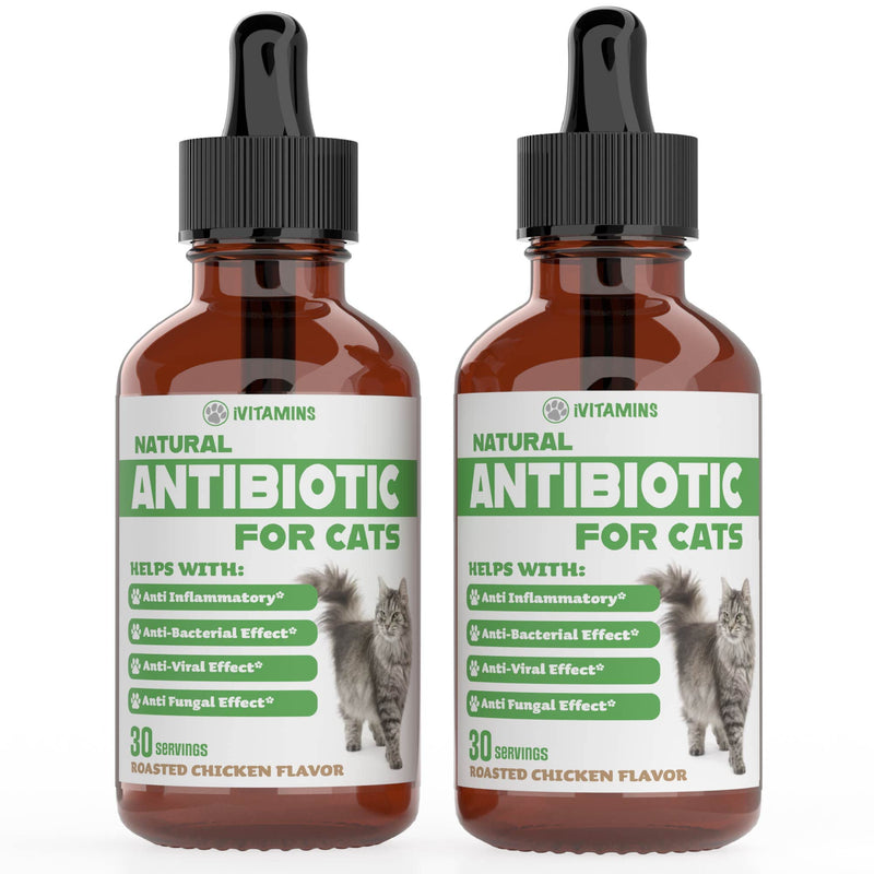 Natural Antibiotics for Cats | Cat Supplements | Cat Antibiotic | Cat Antibiotics | Cat Immune Support | Antibiotic for Cats | Cat Multivitamin | Multivitamin for Cats | 2 Pack: 60 Servings Total - PawsPlanet Australia