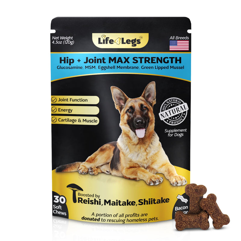 Soft Chews Hip and Joint Supplement for Dogs - Dog Joint Pain Relief Treats - Glucosamine, Chondroitin, Turmeric- Mobility Bites Supplement Hip and Joint Max Strength Bacon - 30 Soft Chews - PawsPlanet Australia