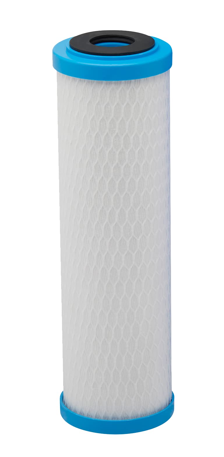 Pentair Pentek ChlorPlus Protect 10 Carbon Block Water Filter 10" Protect Pack of 1