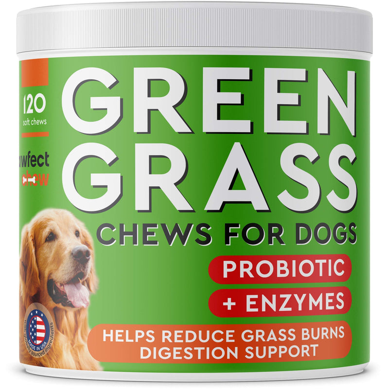 PAWFECTCHEW Grass Burn Spot Chews for Dogs - Dog Pee Lawn Spot Saver - Urine Neutralizer for Grass Burn Spots - Dog Pee Lawn Repair Treats w/Probiotics - Made in USA - Bacon Flavor - 120 Chews - PawsPlanet Australia