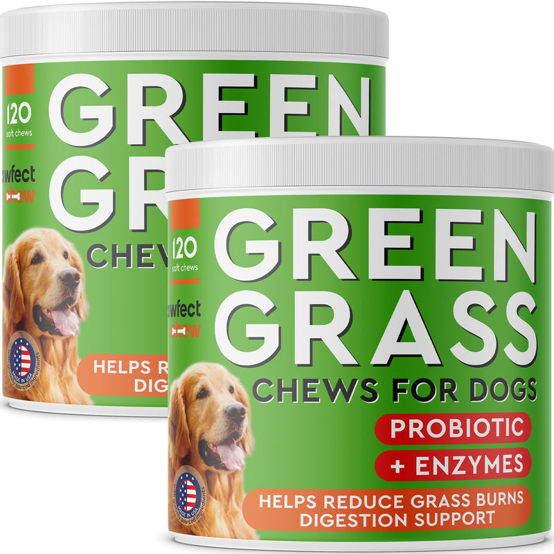 PAWFECTCHEW Grass Burn Spot Chews for Dogs - Dog Pee Lawn Spot Saver - Urine Neutralizer for Grass Burn Spots - Dog Pee Lawn Repair Treats w/Probiotics - Made in USA - Bacon Flavor - 240 Chews - PawsPlanet Australia