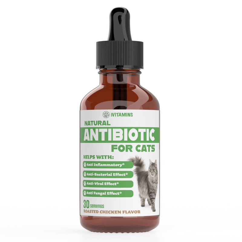 Natural Antibiotics for Cats | Cat Supplements | Cat Antibiotic | Cat Antibiotics | Cat Immune Support | Antibiotic for Cats | Cat Multivitamin | Multivitamin for Cats | 1 Pack: 30 Servings Total - PawsPlanet Australia