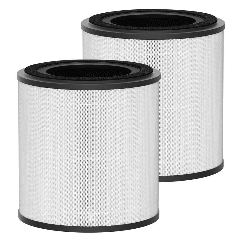 3389 HEPA and Carbon Filter Replacement Compatible with Bissell MYair+ and MYair HUB Air Cleaner Purifiers 2905A 3179A, Part Number 3389 2 Pack